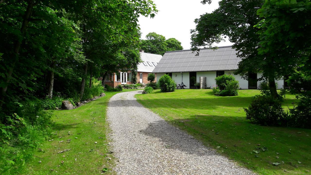 Lyngbjerggaard Ferieboliger - B&B Fjerritslev Экстерьер фото
